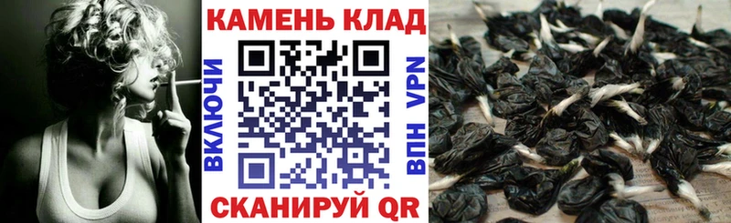купить наркотик ссылка на мегу зеркало ГАШ hashish Кущёвская