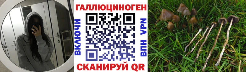Псилоцибиновые грибы ЛСД  blacksprut ссылки  Кущёвская 